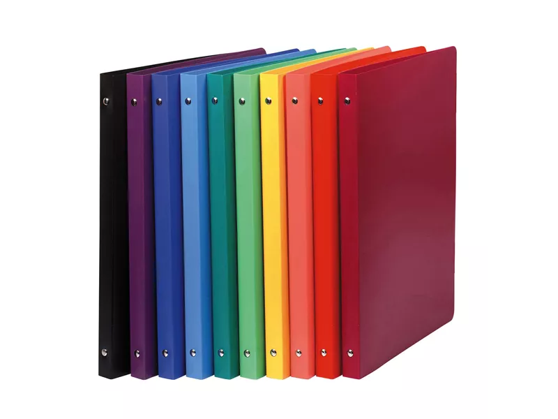 Raccoglitore Exacompta - A4 - 4 Anelli Tondi 30 mm - 51699E (Assortiti Conf. 20)