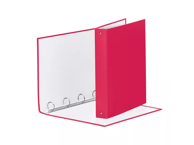 Raccoglitore Meeting Esselte - A4 Maxi - 4 Anelli Tondi 30 mm - Dorso 4 - 395792900 (Rosa)