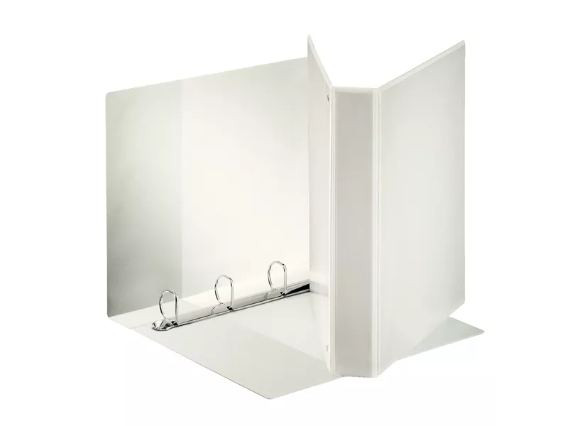 Raccoglitore Personalizzabile Display Esselte - A4 Maxi - 4 Anelli a D 30 mm - 394756000 (Bianco)