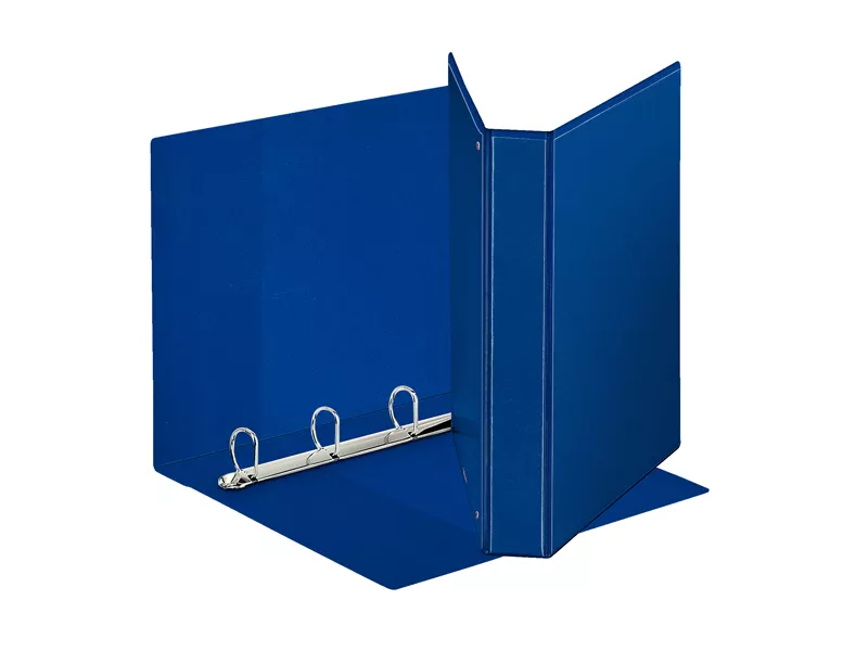 Raccoglitore Personalizzabile Display Esselte - A4 Maxi - 4 Anelli a D 30 mm - 394756500 (Blu)