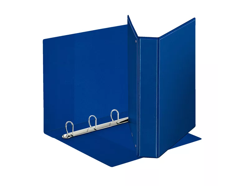 Raccoglitore Personalizzabile Display Esselte - A4 Maxi - 4 Anelli a D 40 mm - 394753500 (Blu)
