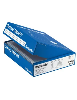 Busta a Perforazione Universale Esselte - 34,5x8x28,7 cm - Deluxe Goffrata - 391098300 (Trasparente Conf. 400)