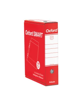 Busta a Perforazione Universale Esselte - 34,5x8x28,7 cm - Deluxe Liscia Lucida - 391098500 (Trasparente Conf. 300)