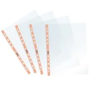 Busta a Perforazione Universale Pastel Favorit - 22x30 cm - Liscia - 400136866 (Trasparente Banda Arancio Conf. 25)