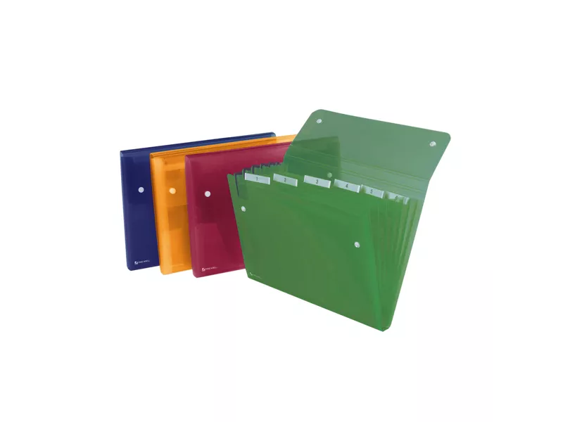 Archiviatore a Soffietto Ice Rexel - 6 Tasche - 2102032 (Assortiti)