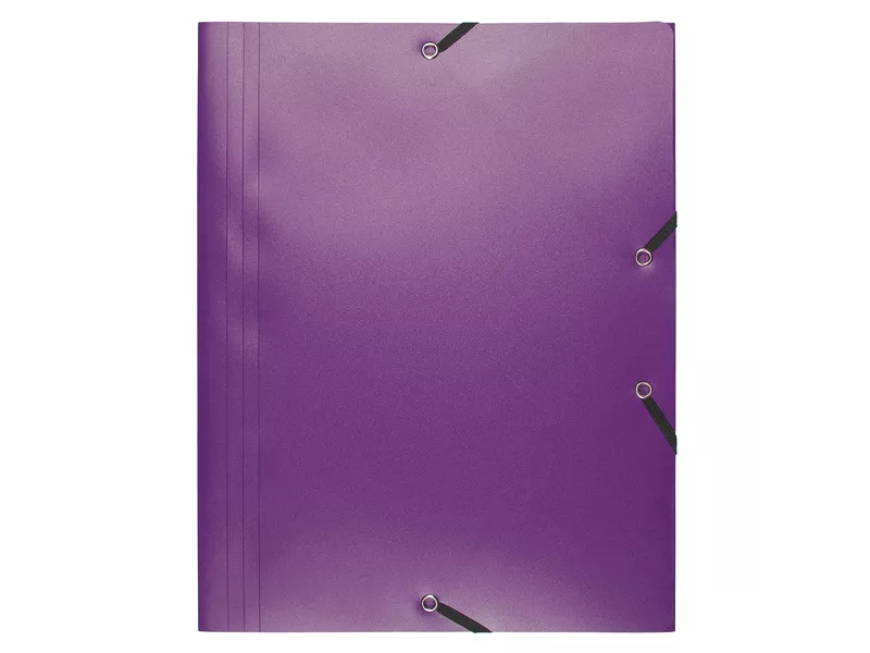 Cartella 3 Lembi con Elastico in PPL Eco Exacompta - 24x32 cm - 55918E (Viola Opaco Conf. 30)