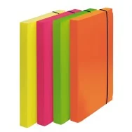 Cartella Portaprogetti con Elastico Shocking File Fellowes - Dorso 3 - 24x35 cm - 1028101 (Assortiti Fluo Conf. 4)
