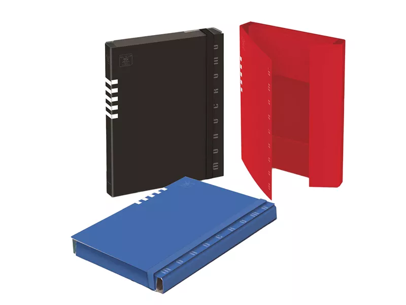 Cartella Portaprogetti con Elastico Monocromo Pigna - Dorso 3 - 24x34 cm - 0200232D3 (Assortiti Conf. 6)