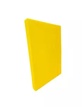Cartella Portaprogetti con Elastico U140 Leonardi - Dorso 3 - 25x35 cm - U140-GI (Giallo Conf. 10)