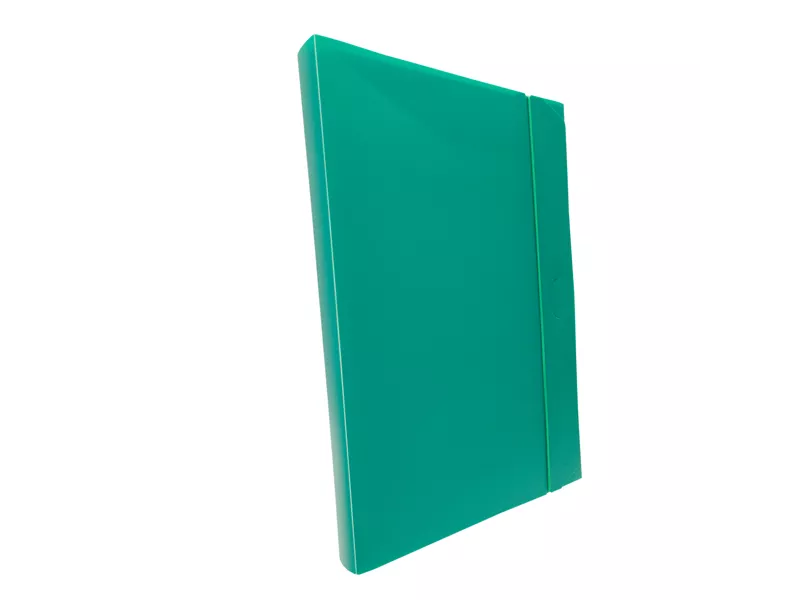 Cartella Portaprogetti con Elastico U140 Leonardi - Dorso 3 - 25x35 cm - U140-VE (Verde Conf. 10)