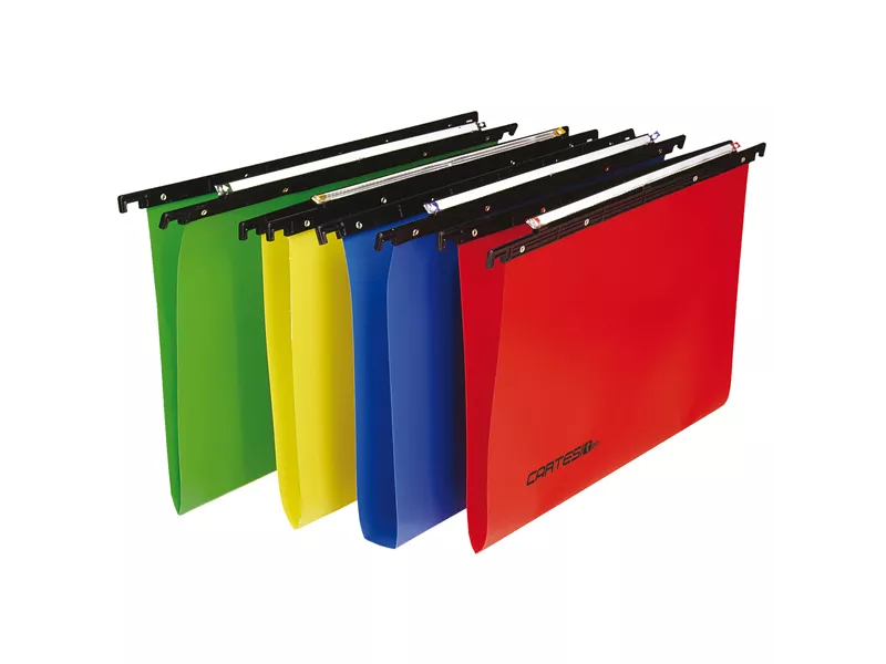 Cartelle Sospese in PPL Cartesio Bertesi - Cassetto - 39 cm - V - 500/395-A7 (Assortiti Conf. 25)