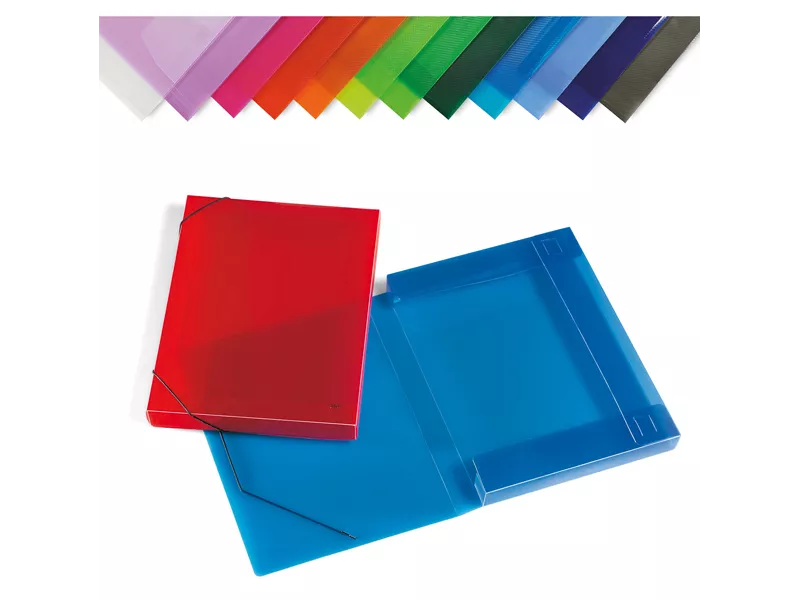 Cartellina in PPL con Elastico - Dorso 3 - 35,5x26,5 cm - 2525-ASS (Assortiti Conf. 12)