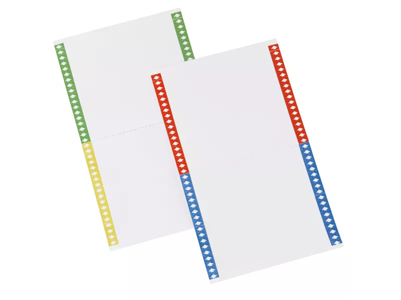 Cartoncini per Cartelle Sospese Bertesi - Armadio - 031-10 (Assortiti Conf. 10)