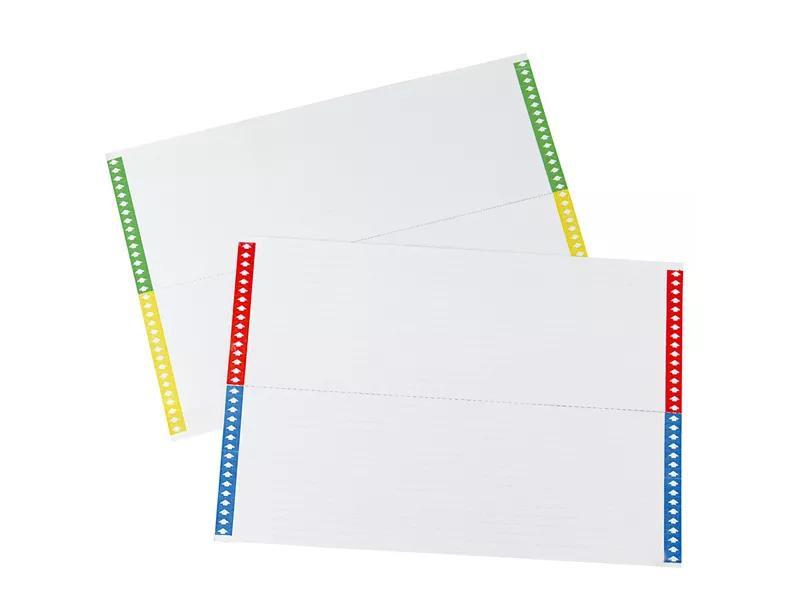 Cartoncini per Cartelle Sospese Bertesi - Cassetto - 032-10 (Assortiti Conf. 10)