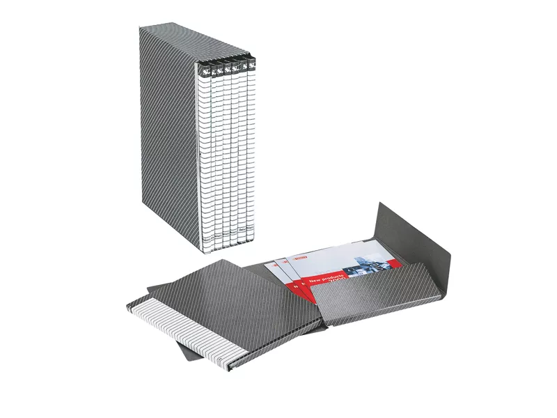 Gruppo di Cartelle Delso Line Esselte - 25x32 cm - 390954040 (Bianco e Grigio Conf. 6)