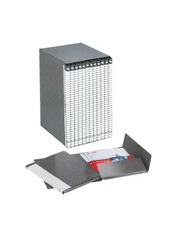 Gruppo di Cartelle Delso Line Esselte - 25x32 cm - 390955040 (Bianco e Grigio Conf. 12)