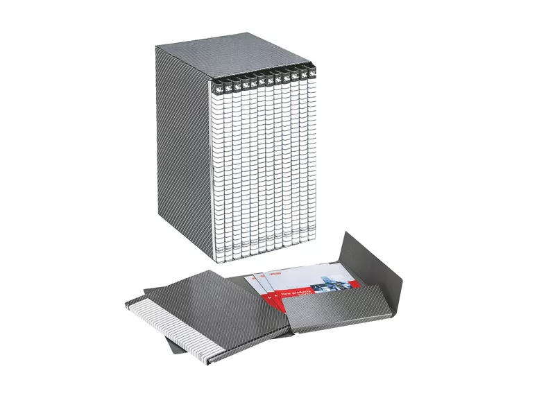 Gruppo di Cartelle Delso Line Esselte - 25x32 cm - 390955040 (Bianco e Grigio Conf. 12)