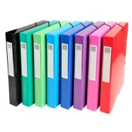 Scatola Archivio Box Iderama Exacompta - Dorso 4 - 25x33 cm - 59929E (Assortiti Conf. 8)