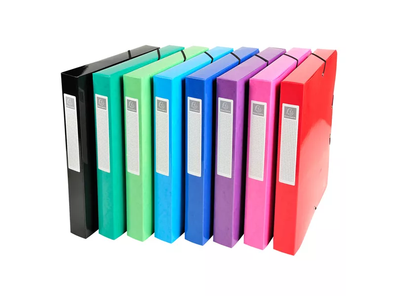 Scatola Archivio Box Iderama Exacompta - Dorso 4 - 25x33 cm - 59929E (Assortiti Conf. 8)