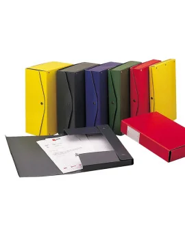 Scatola Archivio Project 12 King Mec - Dorso 12 - 26x36 cm - 00024004 (Blu Conf. 5)