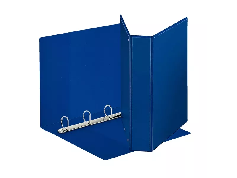 Raccoglitore Personalizzabile Display Esselte D 50 7,1 Blu 8004157475454 Raccoglitore Personalizzabile Display Esselte D 50 7,1 Blu 8004157475454