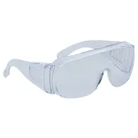 Occhiali di Protezione Monolente Piton Clear Delta Plus - LUCERNEIN100 (Trasparente)