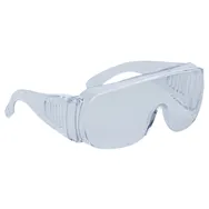 Occhiali di Protezione Monolente Piton Clear Delta Plus - LUCERNEIN100 (Trasparente)