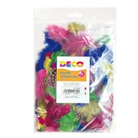 Piume Tropicali Colorate Deco CWR - 50-100 mm - 12609 (Assortiti)