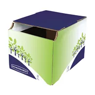 Cestino per Riciclo Fellowes - 24,8x23,5x31,4 cm - 8049301 (Verde e Blu Conf. 5)
