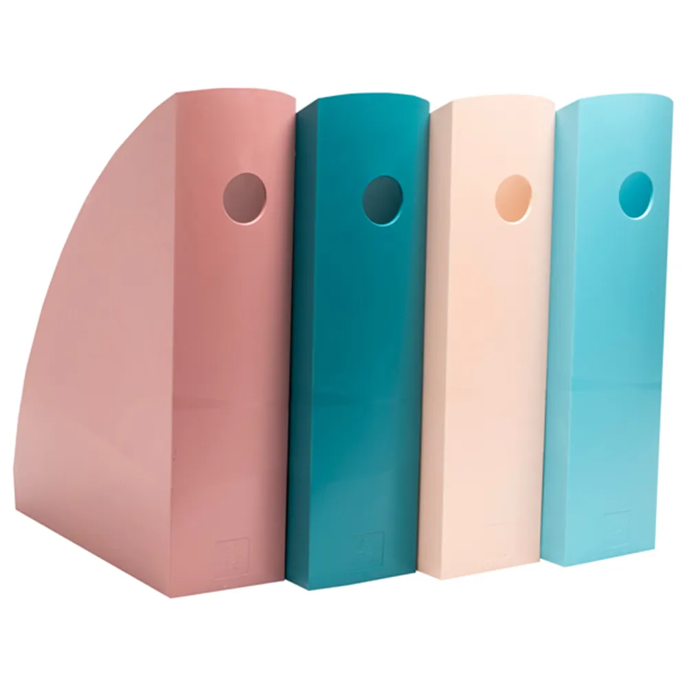 Portariviste Skandi Exacompta - 30,5x26,6x8,2 cm - 182606SETD (Assortiti Conf. 4)