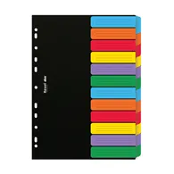 Separatore Neutro in Cartoncino Dox Esselte - A4 - 12 Tasti - D26612 (Assortiti)