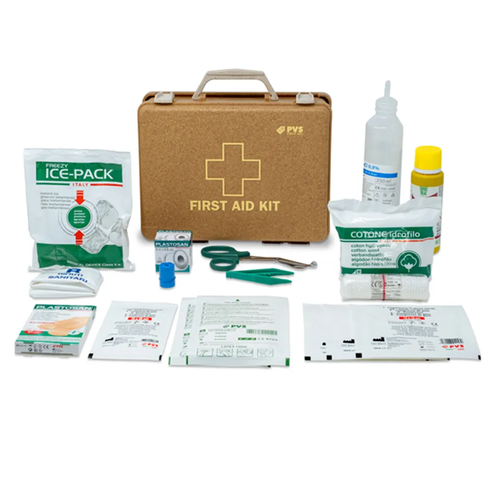Valigetta Pronto Soccorso 2 Persone PVS - 25x19x9 cm - CPS463 Valigetta Pronto Soccorso 2 Persone PVS - 25x19x9 cm - CPS463