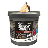 Salviette Umidificate Sandy Wipes Nettuno - 00813 (Conf. 100)