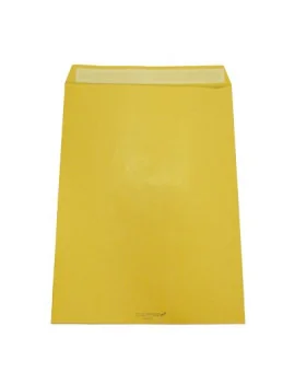 Busta a Sacco Adesiva Blasetti - 19x26 cm - 80 g - 065511626 (Avana Conf. 500)