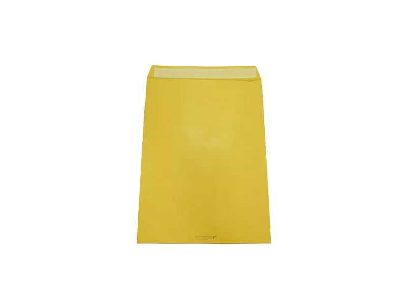 Busta a Sacco Adesiva Blasetti - 19x26 cm - 80 g - 065511626 (Avana Conf. 500)