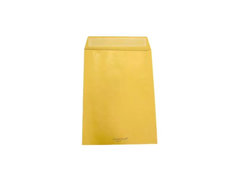 Busta a Sacco Adesiva Blasetti - 23x33 cm - 100 g - 065512533 (Avana Conf. 500)