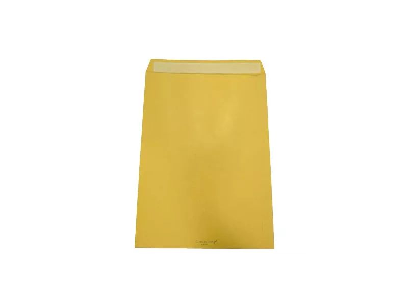Busta a Sacco Adesiva Blasetti - 30x40 cm - 120 g - 065514340 (Avana Conf. 500) Busta a Sacco Adesiva Blasetti - 30x40 cm - 120 g - 065514340 (Avana Conf. 500)