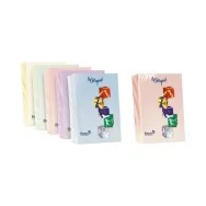 Carta Colorata Le Cirque Favini - A4 - 160 g - A74X304 (Assortiti Tenui Conf. 250)