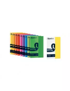 Cartoncino Colorato Rismaluce Favini - A4 - 140 g - A65B204 (Giallo Sole Forte Conf. 200)