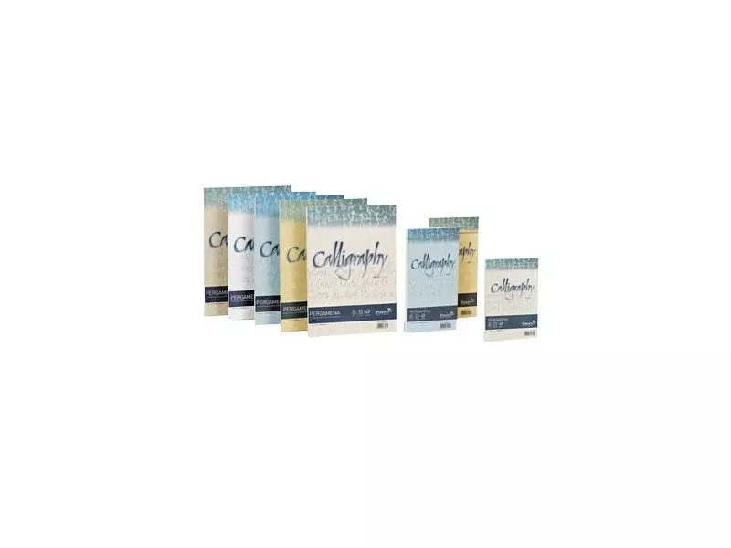 Fogli Calligraphy Pergamena Favini - A4 - 190 g - A69Q084 (Naturale Conf. 50) Fogli Calligraphy Pergamena Favini - A4 - 190 g - A69Q084 (Naturale Conf. 50)