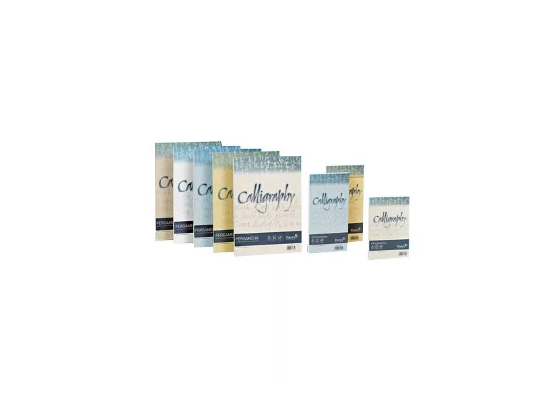 Carta Speciale Laser Calligraphy Pergamena Favini - A4 - 90 g - A69W204 (Oro Conf. 50) Carta Speciale Laser Calligraphy Pergamena Favini - A4 - 90 g - A69W204 (Oro Conf. 50)