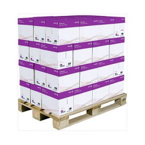 Offerta Mini Pallet Carta A4 80g