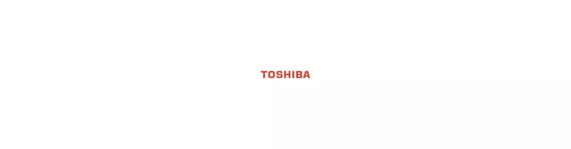 Toner Toshiba Offerte Offerta Sconto Sconti