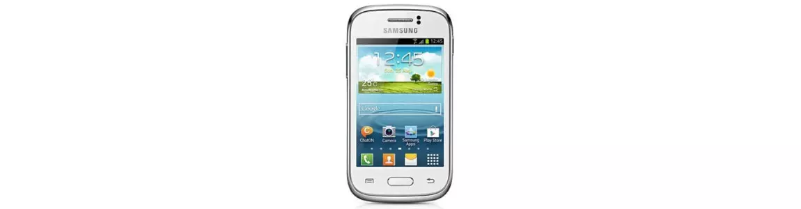 Smartphone Samsung Galaxy Young Offerte Offerta Sconto Sconti
